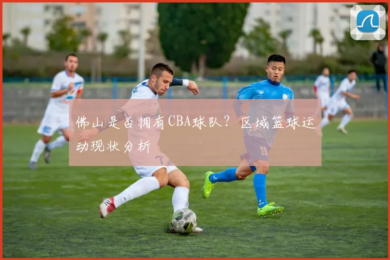 佛山是否拥有CBA球队？区域篮球运动现状分析