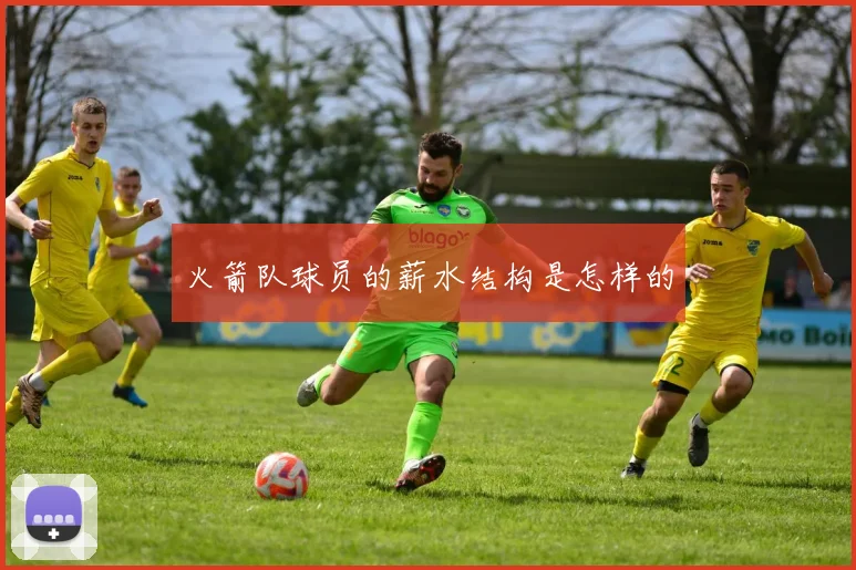 火箭队球员的薪水结构是怎样的